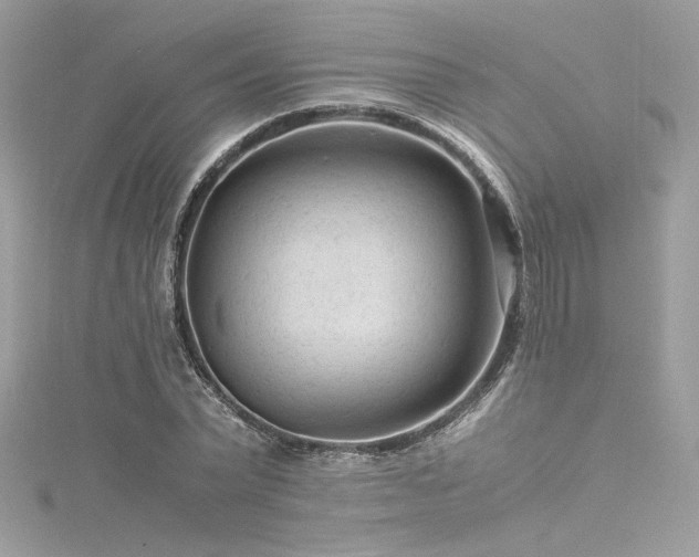 X0000116310783200911301502