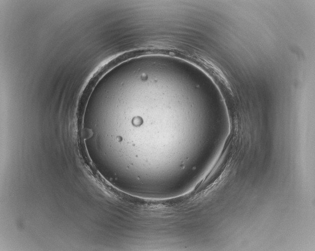 X0000116310784200911301502