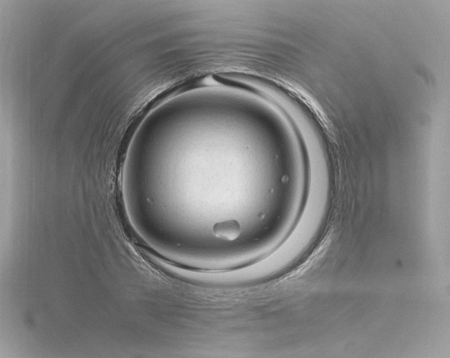 X0000116310785200911301502