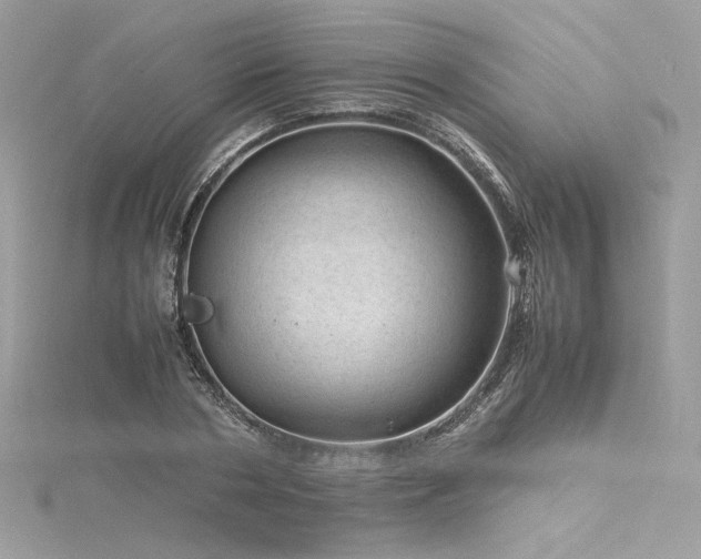 X0000116310786200911301502