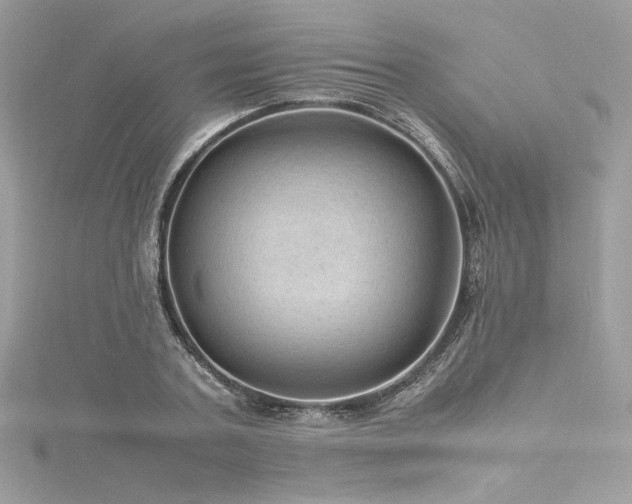 X0000116310787200911301502