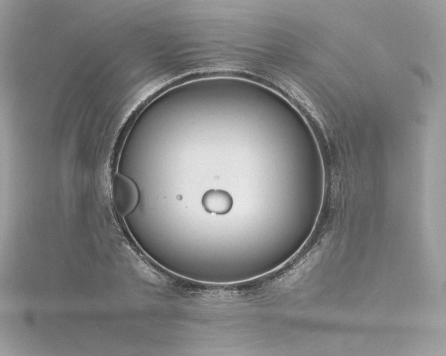 X0000116310789200911301502