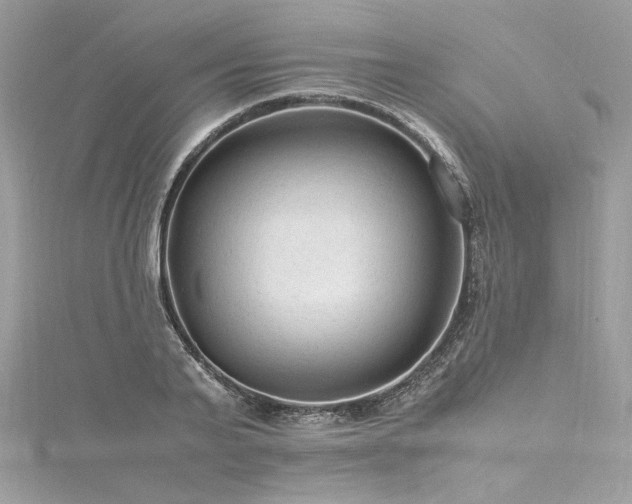 X0000116310791200911301502