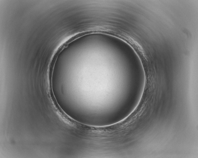 X0000116310792200911301502