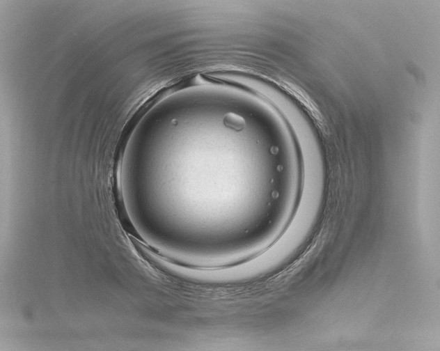 X0000116310793200911301502