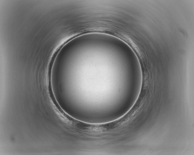 X0000116310795200911301501