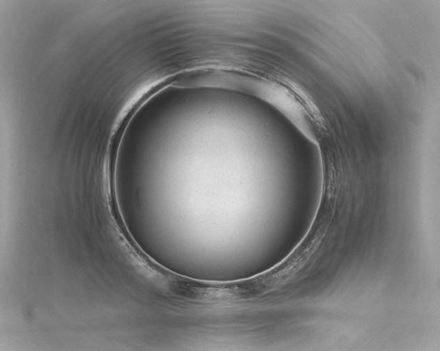 X0000116310796200911301501