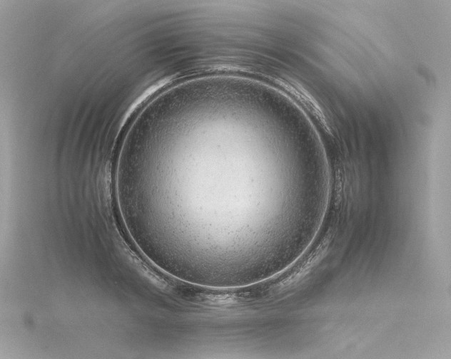 X0000116310798200911301501