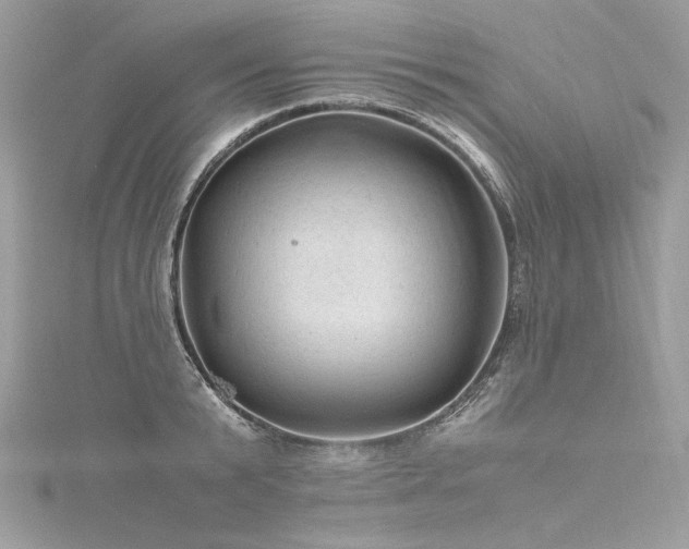 X0000116310799200911301501