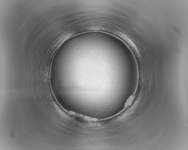 X0000116310801200911301501