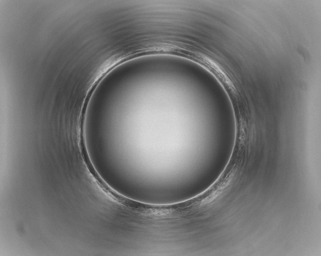 X0000116310802200911301501