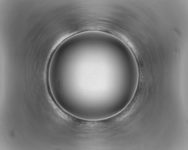 X0000116310803200911301501