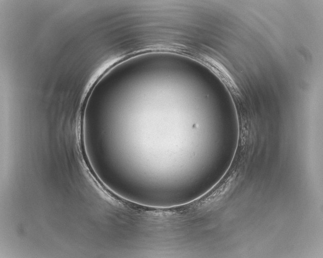 X0000116310804200911301501