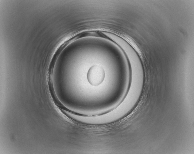 X0000116310805200911301501