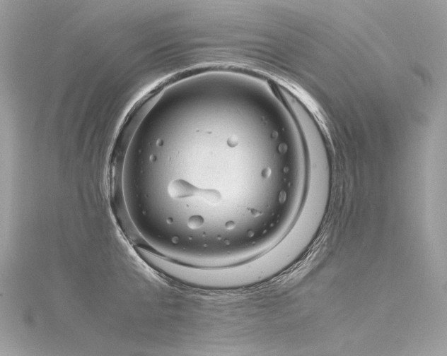 X0000116310807200911301501