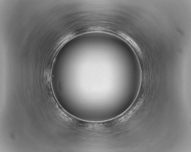 X0000116310809200911301501