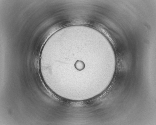 X0000116310810200911301501