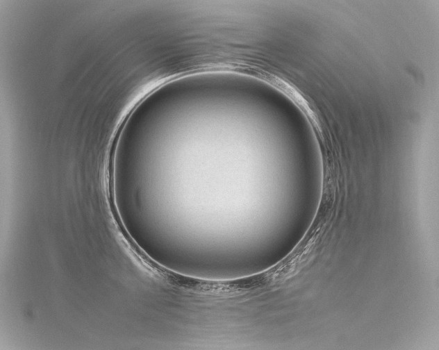 X0000116310811200911301501