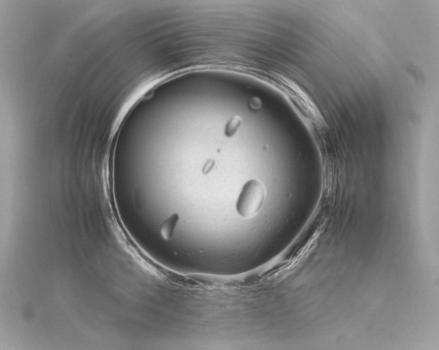 X0000116310812200911301501