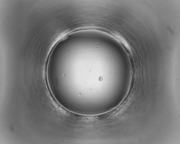 X0000116310813200911301501