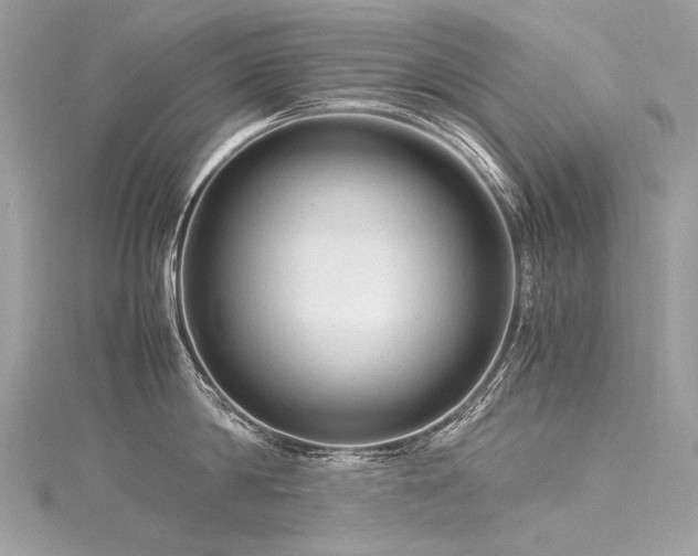 X0000116310814200911301501