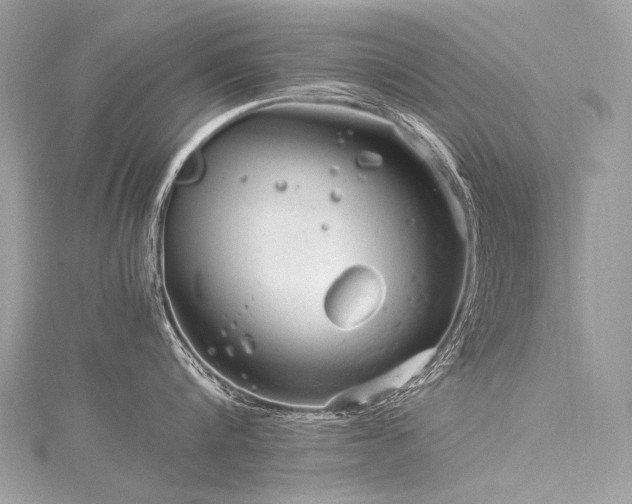 X0000116310816200911301501