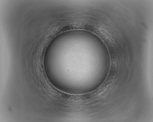 X0000116310817200911301501