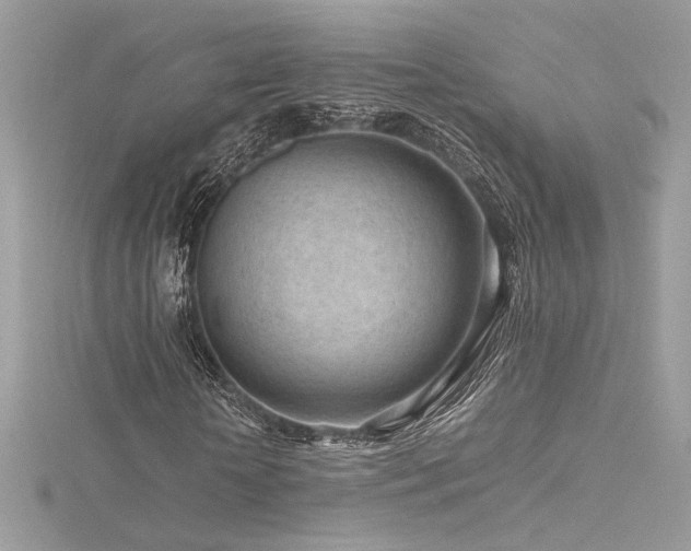 X0000116310818200911301501