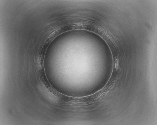 X0000116310819200911301501