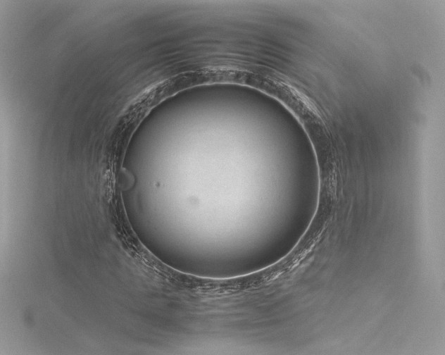 X0000116310821200911301501