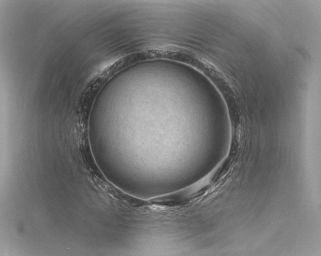 X0000116310822200911301501