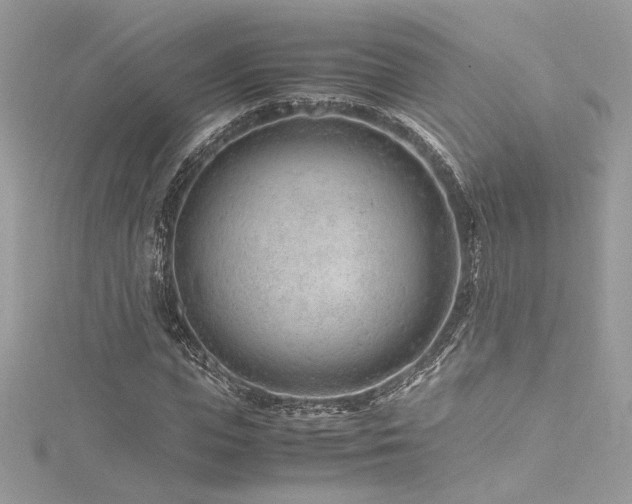 X0000116310823200911301501