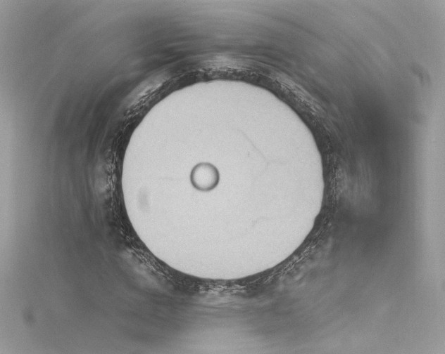 X0000116310824200911301501