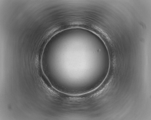 X0000116310825200911301501