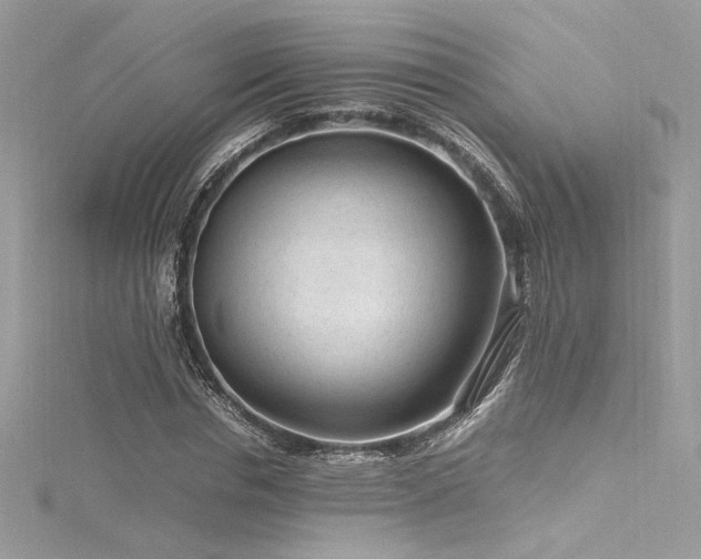 X0000116310826200911301501