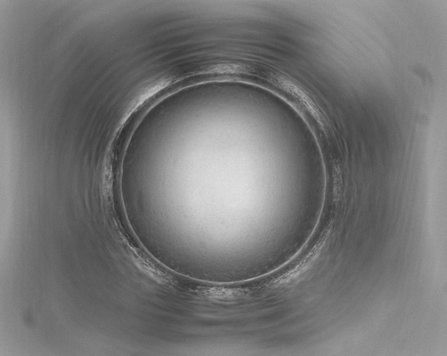 X0000116310827200911301501