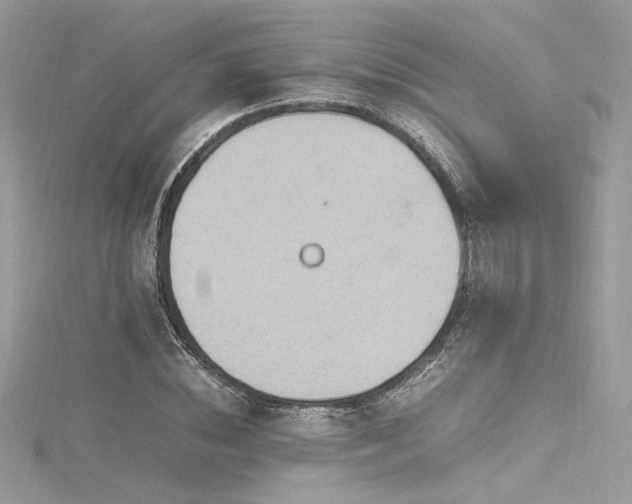 X0000116310828200911301501