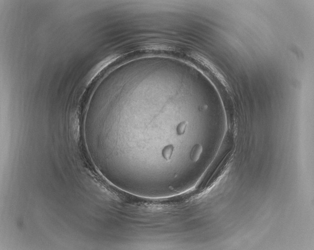 X0000116310829200911301501