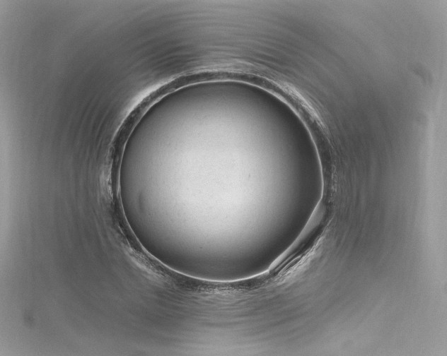 X0000116310830200911301501