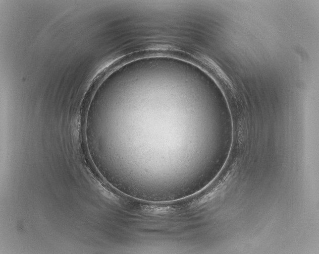 X0000116310831200911301501