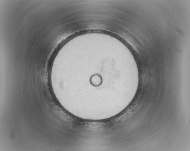 X0000116310832200911301501