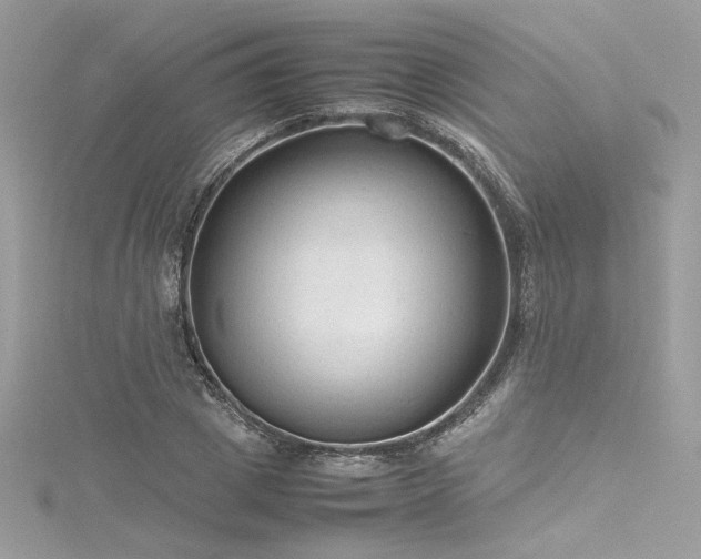 X0000116310833200911301501