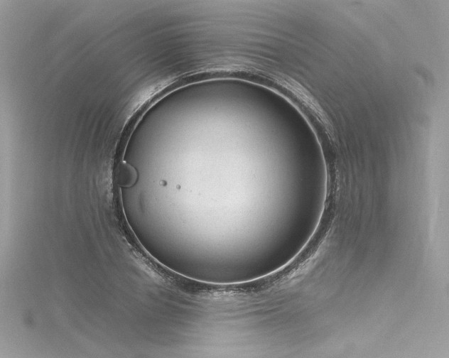 X0000116310834200911301501