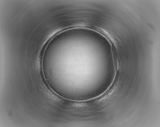 X0000116310835200911301501