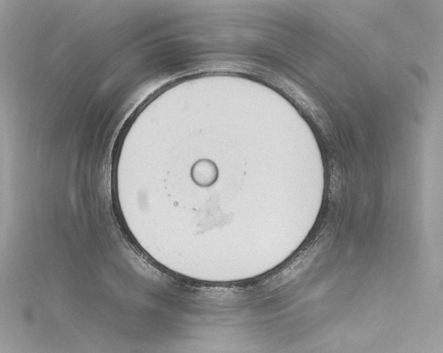 X0000116310836200911301501