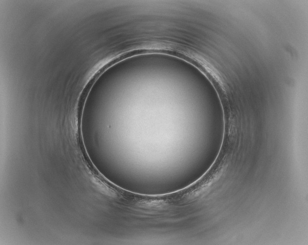 X0000116310837200911301501