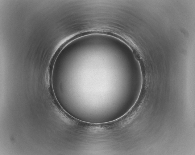 X0000116310838200911301501