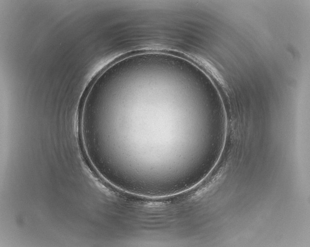 X0000116310839200911301501