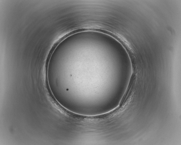 X0000116310840200911301501