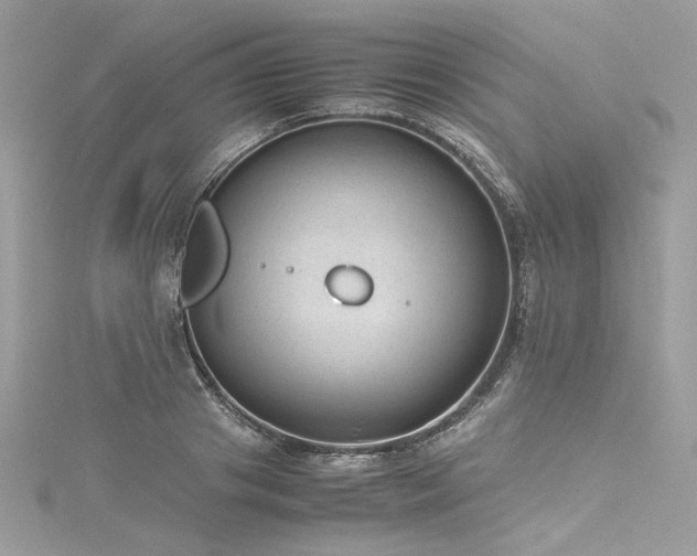 X0000116310841200911301501